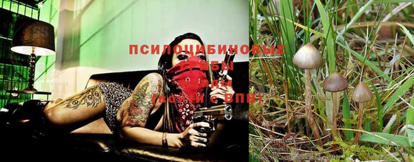 дурь Володарск