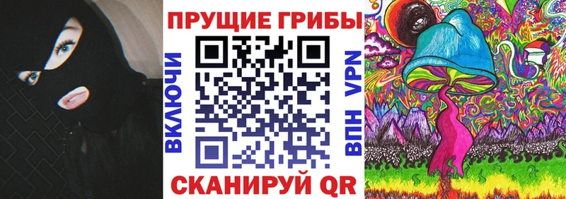 Псилоцибиновые грибы мицелий  где купить наркоту  Новоржев 