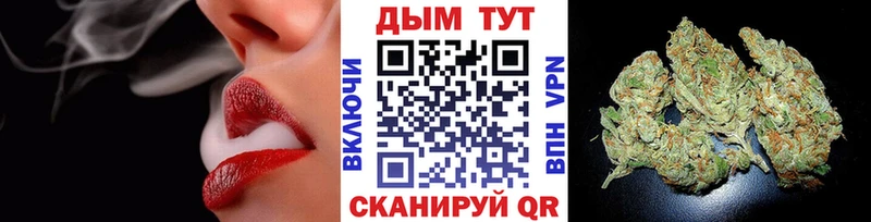 Марихуана Amnesia  Новоржев 